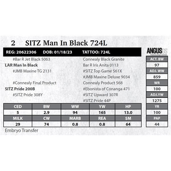 SITZ Man In Black 724L