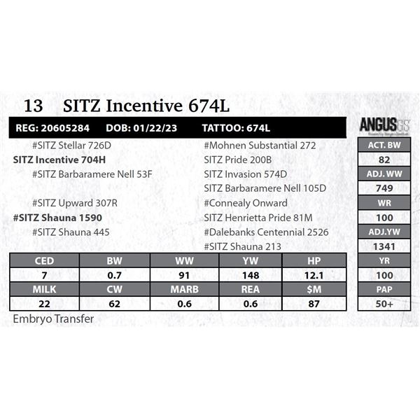 SITZ Incentive 674L