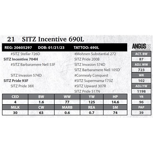 SITZ Incentive 690L