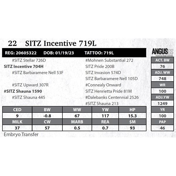 SITZ Incentive 719L