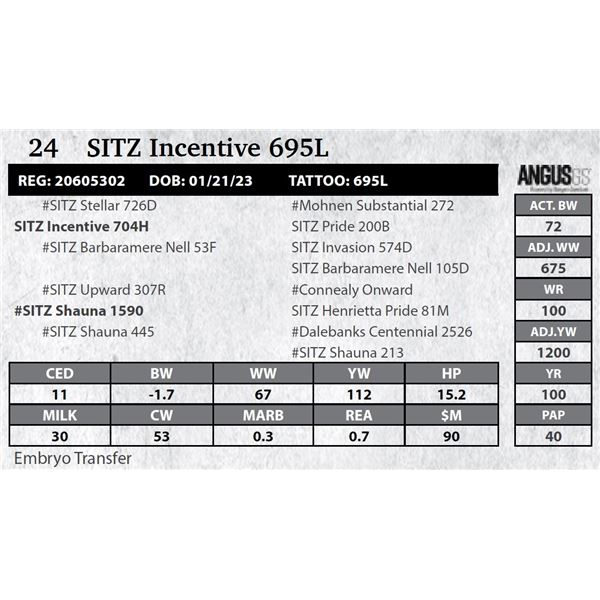 SITZ Incentive 695L