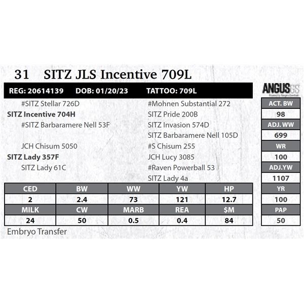 SITZ JLS Incentive 709L