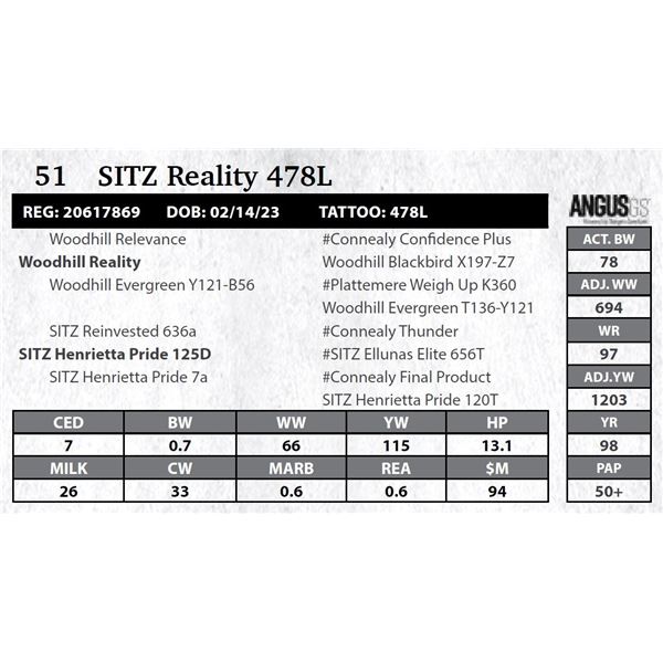 Sitz Reality 478L