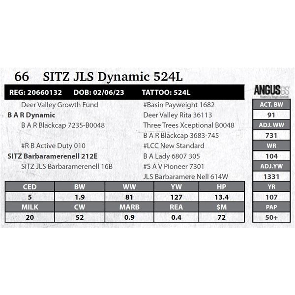 Sitz JLS Dynamic 524L