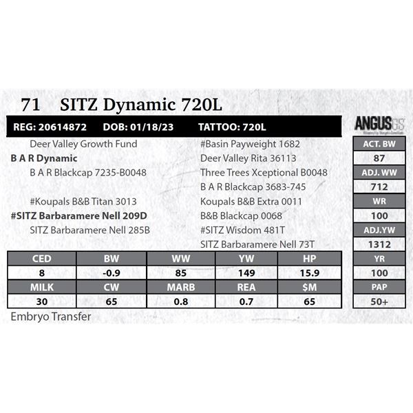 SITZ Dynamic 720L