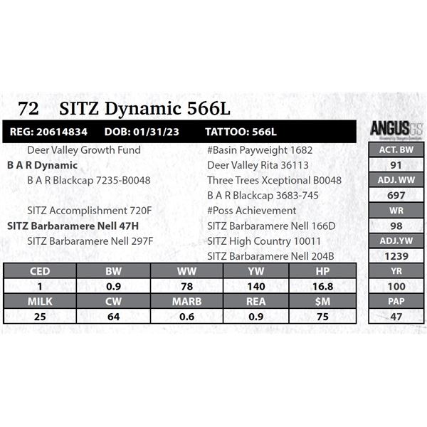 SITZ Dynamic 566L