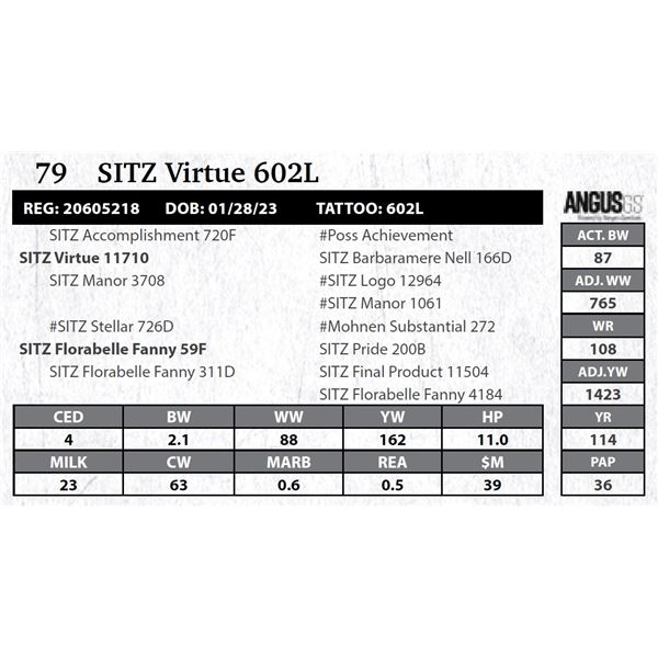 SITZ Virtue 602L