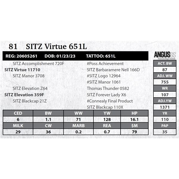 SITZ Virtue 651L