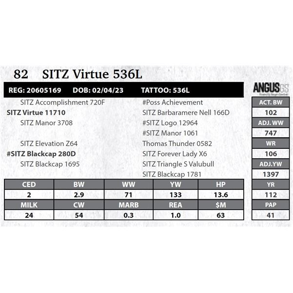 SITZ Virtue 536L