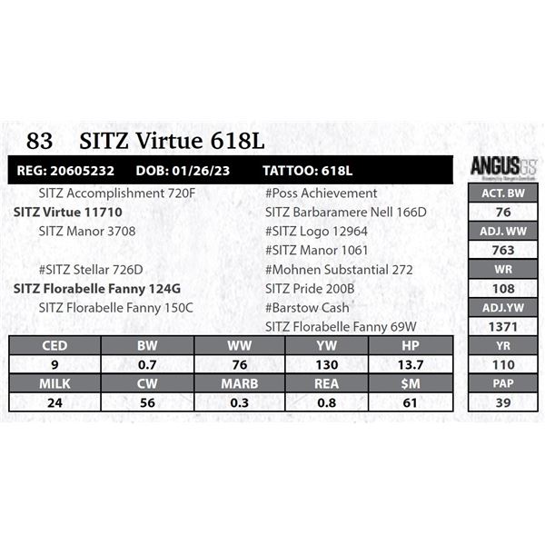 SITZ Virtue 618L