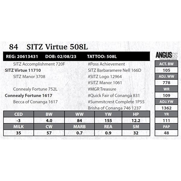 SITZ Virtue 508L