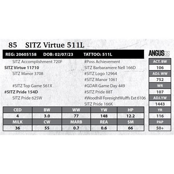 SITZ Virtue 511L