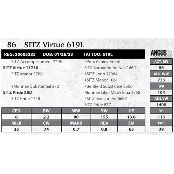 SITZ Virtue 619L