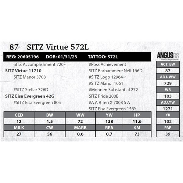 SITZ Virtue 572L