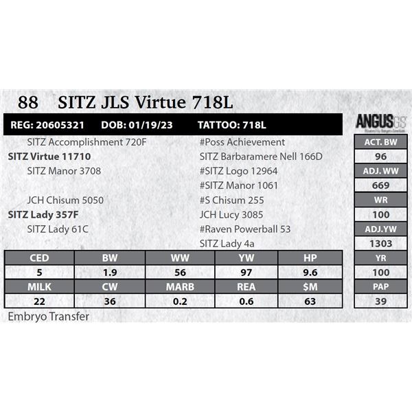 SITZ JLS Virtue 718L