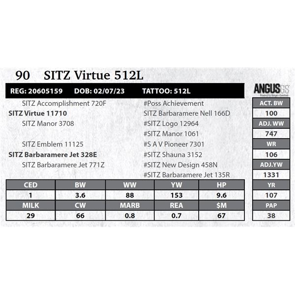 SITZ Virtue 512L