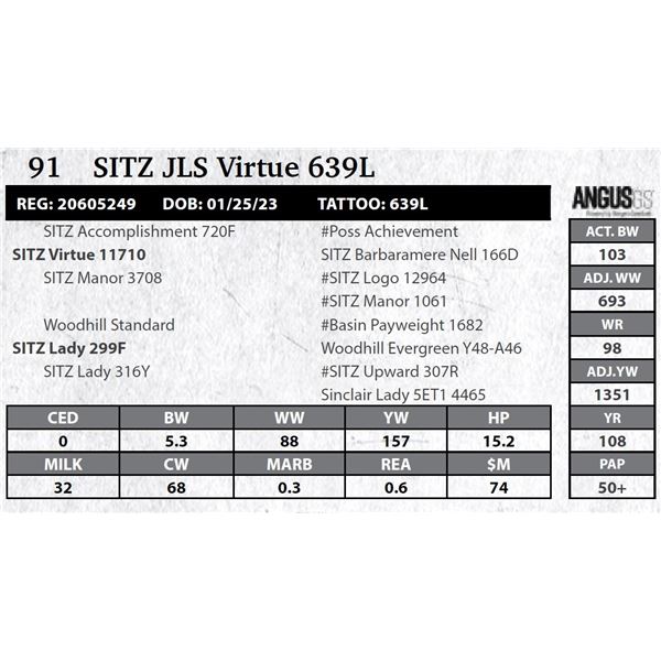 SITZ JLS Virtue 639L