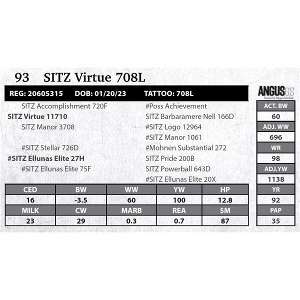 SITZ Virtue 708L