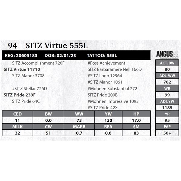 SITZ Virtue 555L