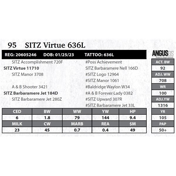 SITZ Virtue 636L