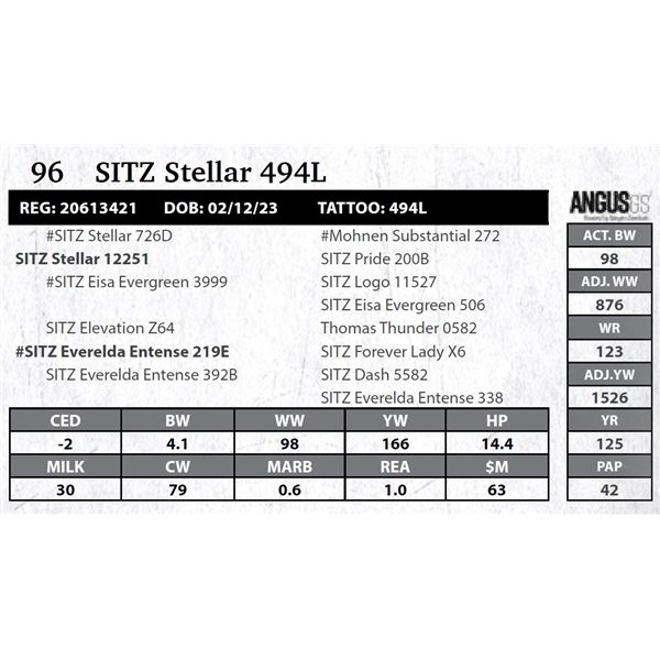 SITZ Stellar 494L