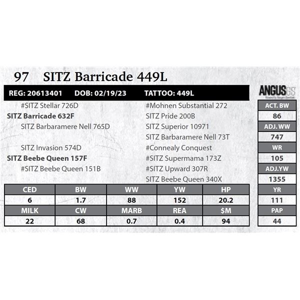 SITZ Barricade 449L