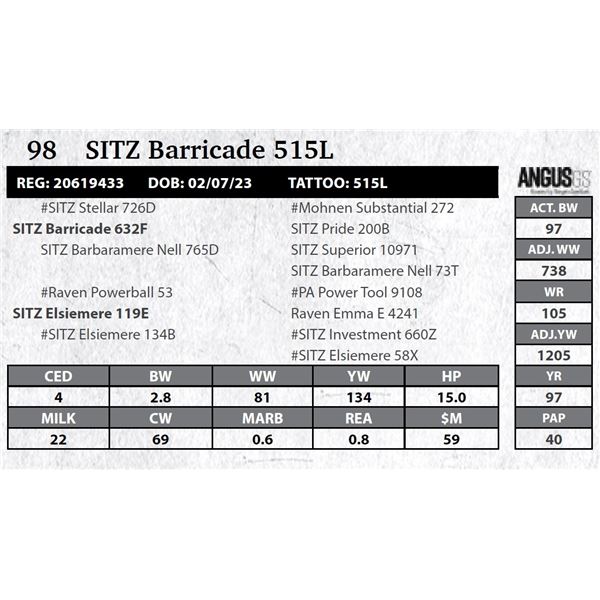 SITZ Barricade 515L