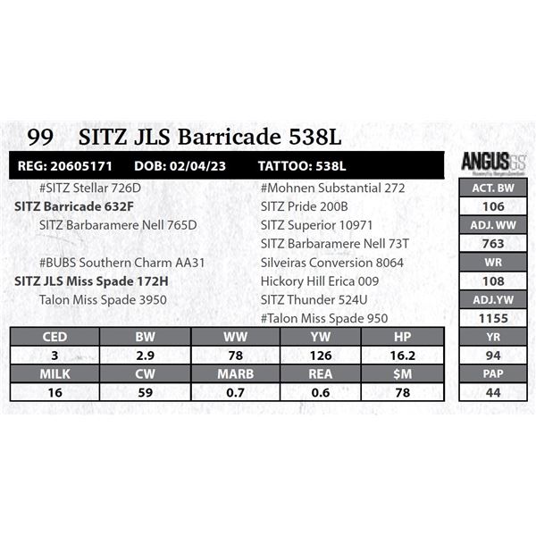 SITZ JLS Barricade 538L