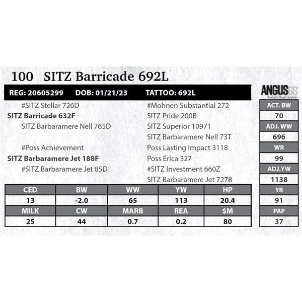 SITZ Barricade 692L