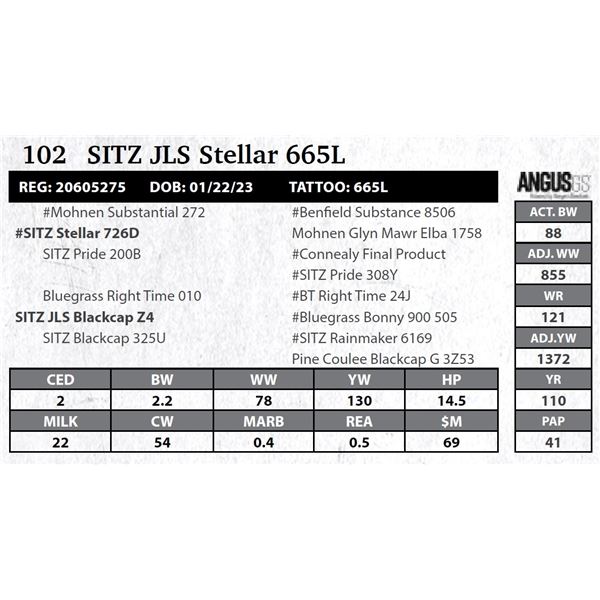 SITZ JLS Stellar 665L