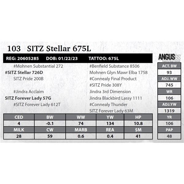 SITZ Stellar 675L