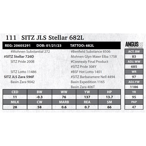 SITZ JLS Stellar 682L