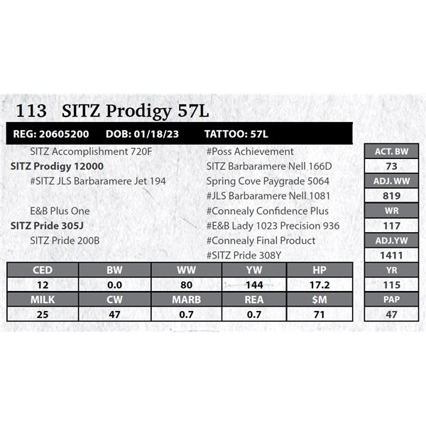 SITZ Prodigy 57L