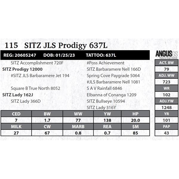 SITZ JLS Prodigy 637L