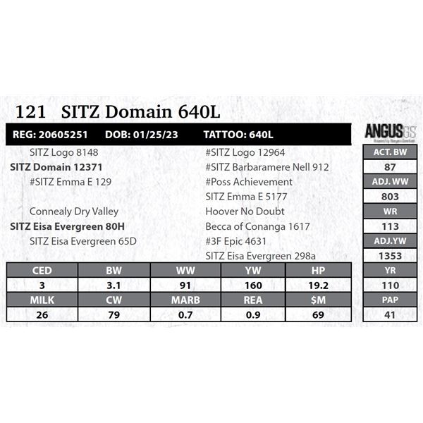 SITZ Domain 640L