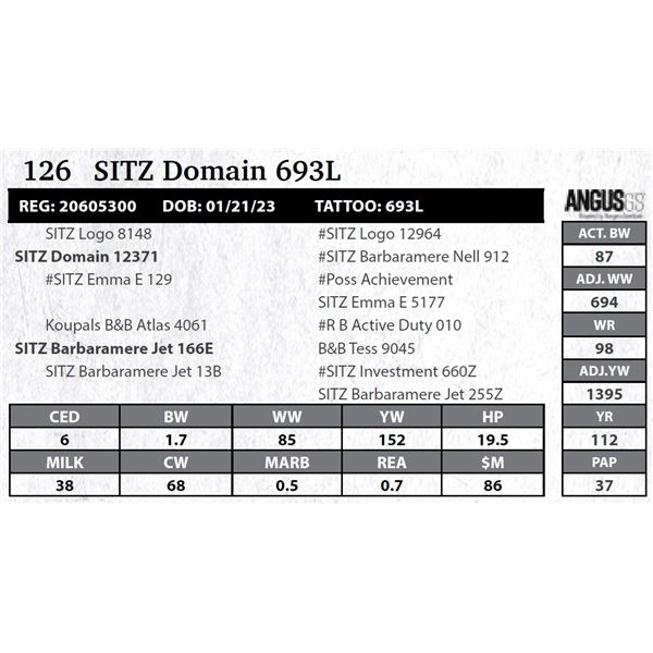 SITZ Domain 693L