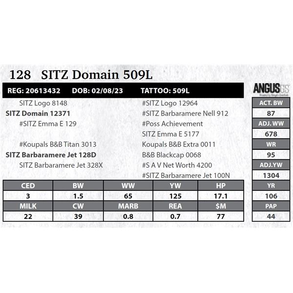 SITZ Domain 509L