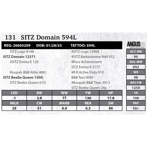 SITZ Domain 594L