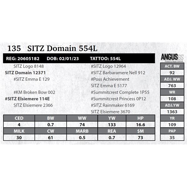 SITZ Domain 554L