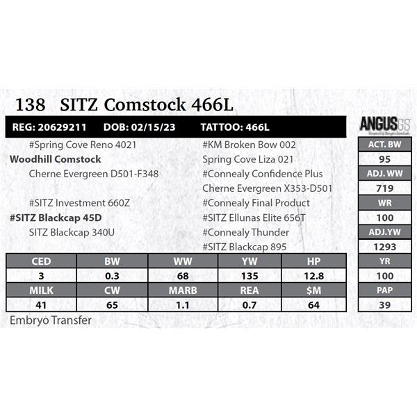 SITZ Comstock 466L