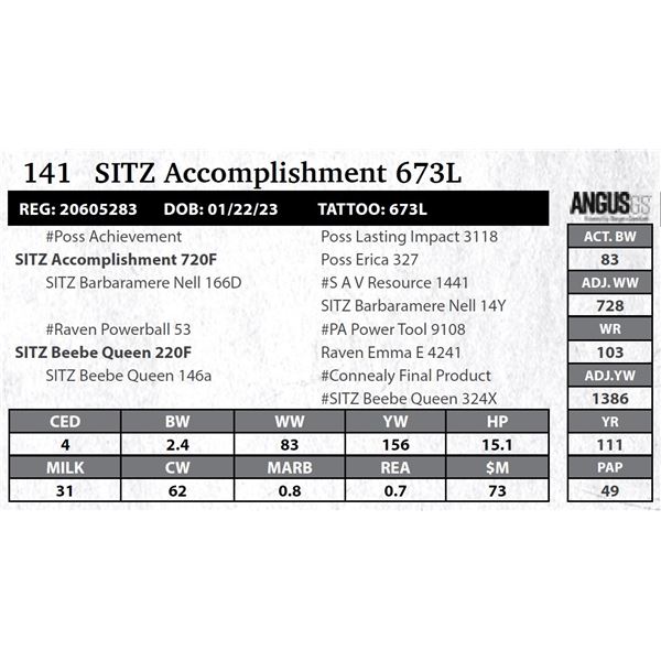 SITZ Accomplishment 673L