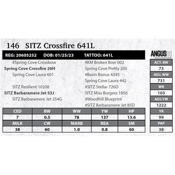 SITZ Crossfire 641L