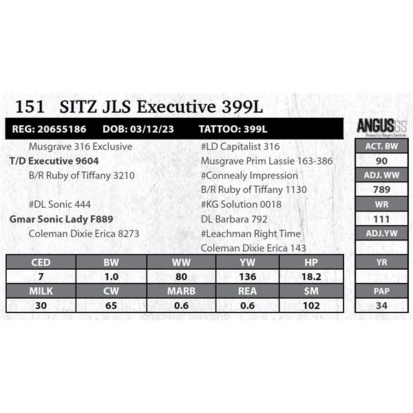 Sitz JLS Executive 399L