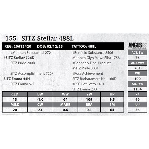 SITZ Stellar 488L