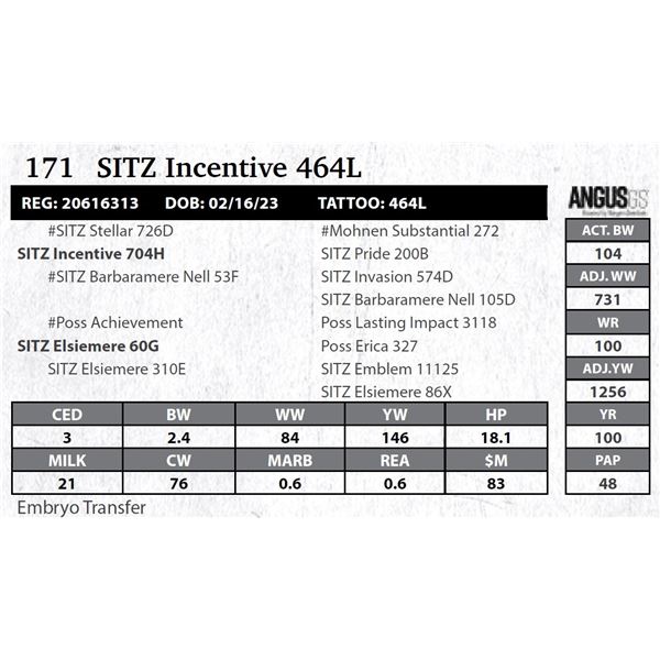 SITZ Incentive 464L