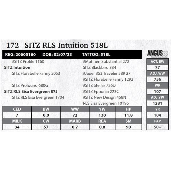 SITZ RLS Intuition 518L