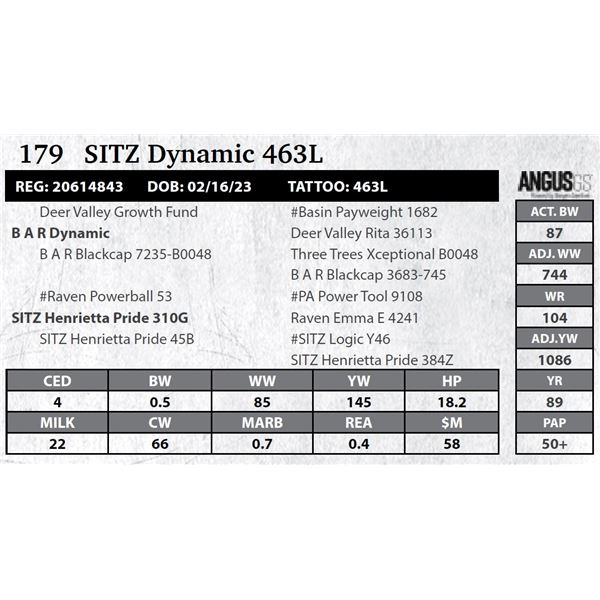 SITZ Dynamic 463L