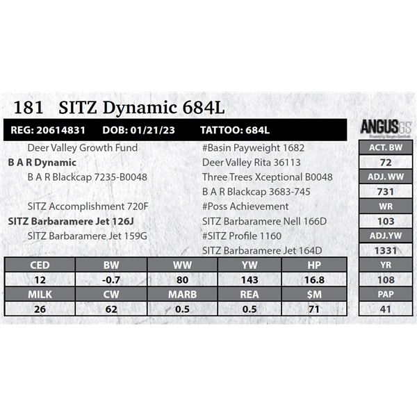 SITZ Dynamic 684L