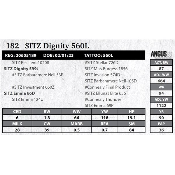 SITZ Dignity 560L