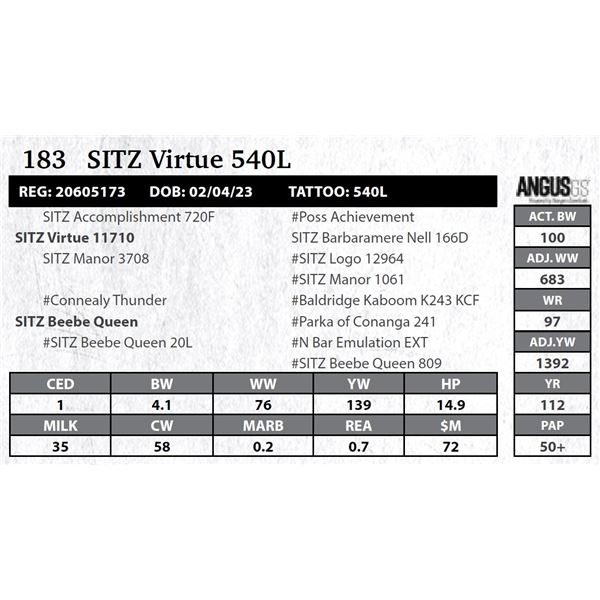 SITZ Virtue 540L